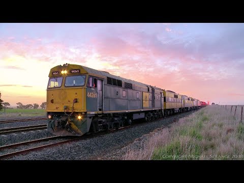 Colourful Five Locomotive SSR Grain Train At Sunrise (25/7/2018) - PoathTV Australian Railways