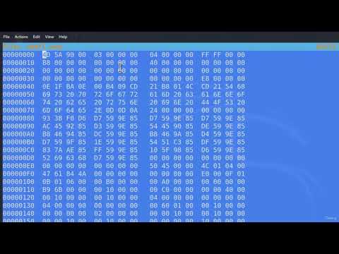 Hexeditor & Antiviruses🕵🏼Gaining Access (Viruses, Trojans, Payloads ...)8.5