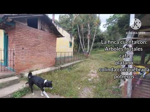 Se vende finca de 2 fanegadas y media en Silvania cundinamarca 