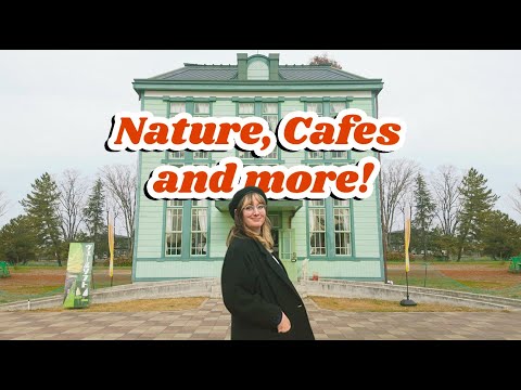 琦玉被嚴重低估 (Saitama is Criminally Underrated)