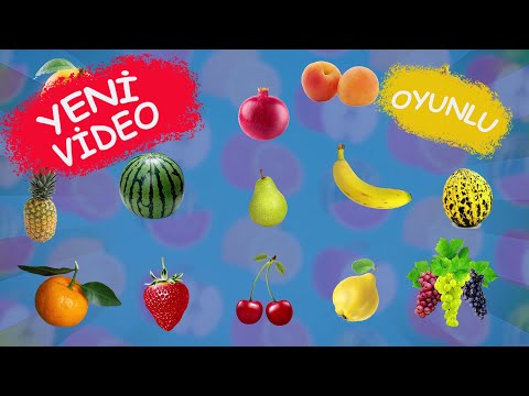🍒 🍏MEYVELERİ ÖĞRENİYORUZ  🍉🍓| Çocuklar İçin - Okul Öncesi Eğitim