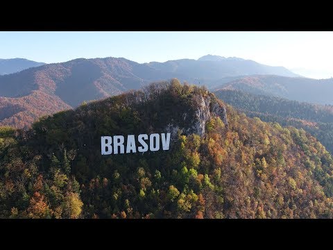 WhileWild - The time stops for a while (Official Music Video) 4K