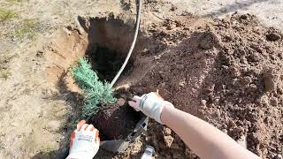 Assista utility knife video