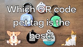 Which QR code pet tag is the best