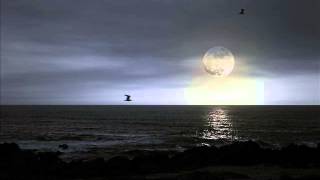 Descargar Relaxing Piano For Sleeping Moondrops Sean Beeson Mp3 Gratis Mimp3 2020 mimp3