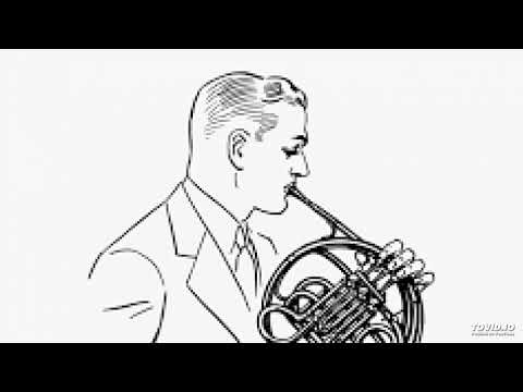 Saverio Mercadante : Concerto for horn and orchestra. Arr. Zvonko Pirganoski, 10.05.2018