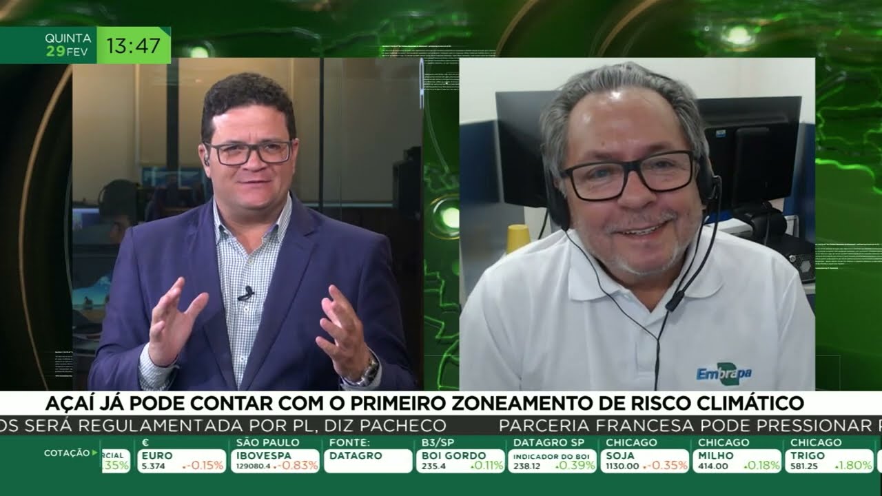 Açaí já pode contar com o primeiro zoneamento de risco climático