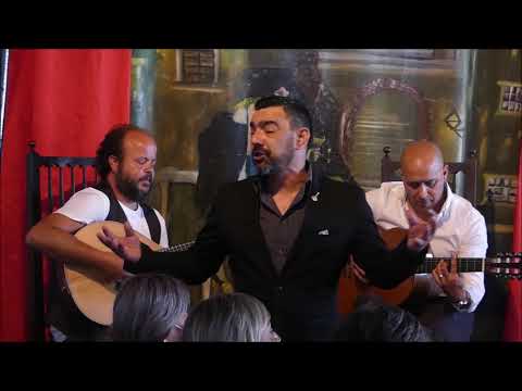 Pedro Galveias -"Mais um fado no fado" (Carlos da Maia / Júlio de Sousa)