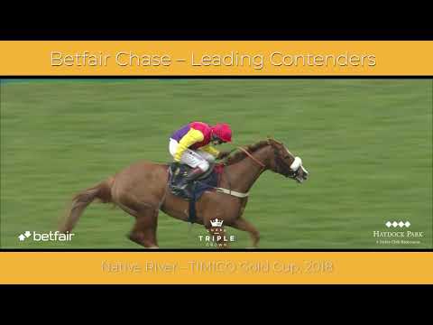 Betfair Chase - Saturday 24 November