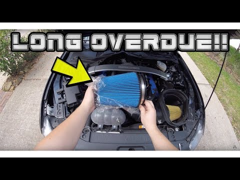 Shelby GT350 Ford Performance Air Filter Install (4k) | Yankee Dewey