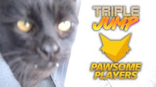 TripleJump CPL Gaming Meowathon Stream This Thursday!