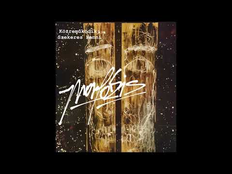 HOPA x SZEKERES FANNI- Morfózis