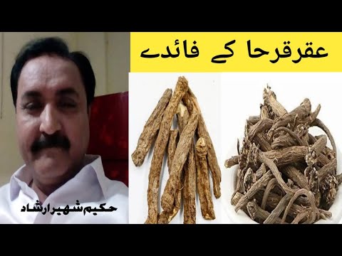 Akarkara ke faide #tibnabvi #hakeemaurhikmat