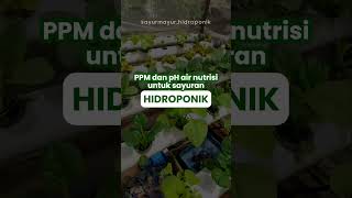 Download lagu PPM dan pH air nutrisi hidroponik untuk setiap sayuran 🌱 #hidroponikbanyuwangi #berkebunhidoponik mp3 Download lagu PPM dan pH air nutrisi hidroponik untuk setiap sayuran 🌱 #hidroponikbanyuwangi #berkebunhidoponik mp3