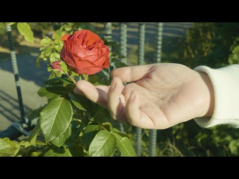 人間社会学科 『この世界を愛するために生まれてきたんだ』