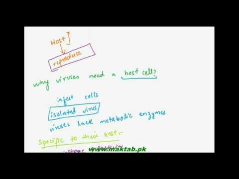 FSc Biology Book1, CH 5, LEC 7: Parasitic Nature of Viruses