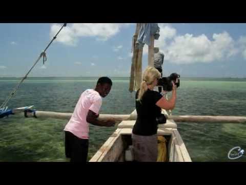 Kenia 2013 -Diani Beach STARS;) (cooles video ;))