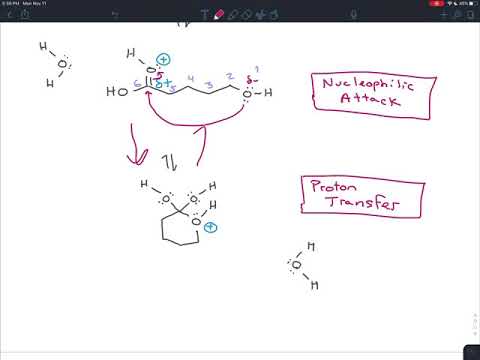 Exercise 21.16 - Draw the Mechanism for an Intramolecular Nucleophilic Acyl Substitution