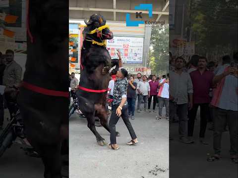 Sadar 2025 #Laddu Yadav Sadar 2025 #ladduyadav sadar | #khairatabadsadar sadar #sadarfestival