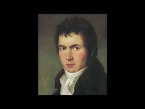 Ludwig van Beethoven~A Short Biography