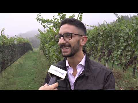 Paesi miei Costigliole 4 - TELEGRANDA (ch 186)