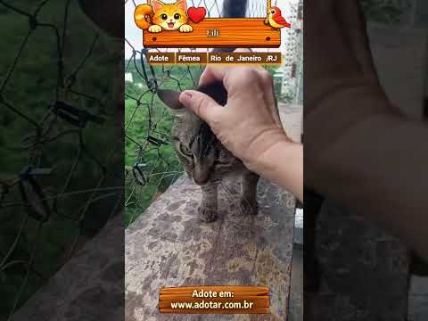Vídeo de Lili
