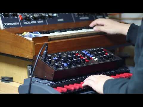 [Part1] Behringer Model D vs minimoog Model D (1972)