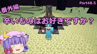 【マインクラフト】エンダードラゴン討伐（番外編）　Part48.5【ゆっくり実況】