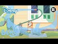 Bluey | ? Bingo’s Grappigste Momenten | Disney Channel NL
