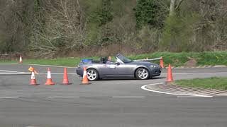 Easter Bunny AutoSolo 2023