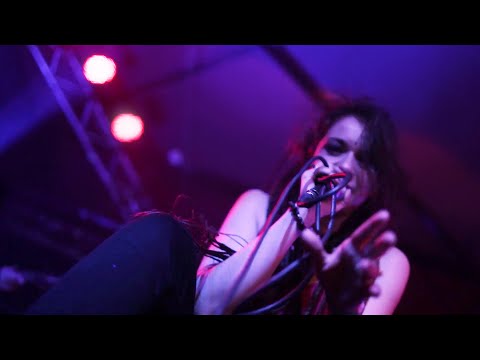 MORPHIDE - Akeneo (Official Tour Video)