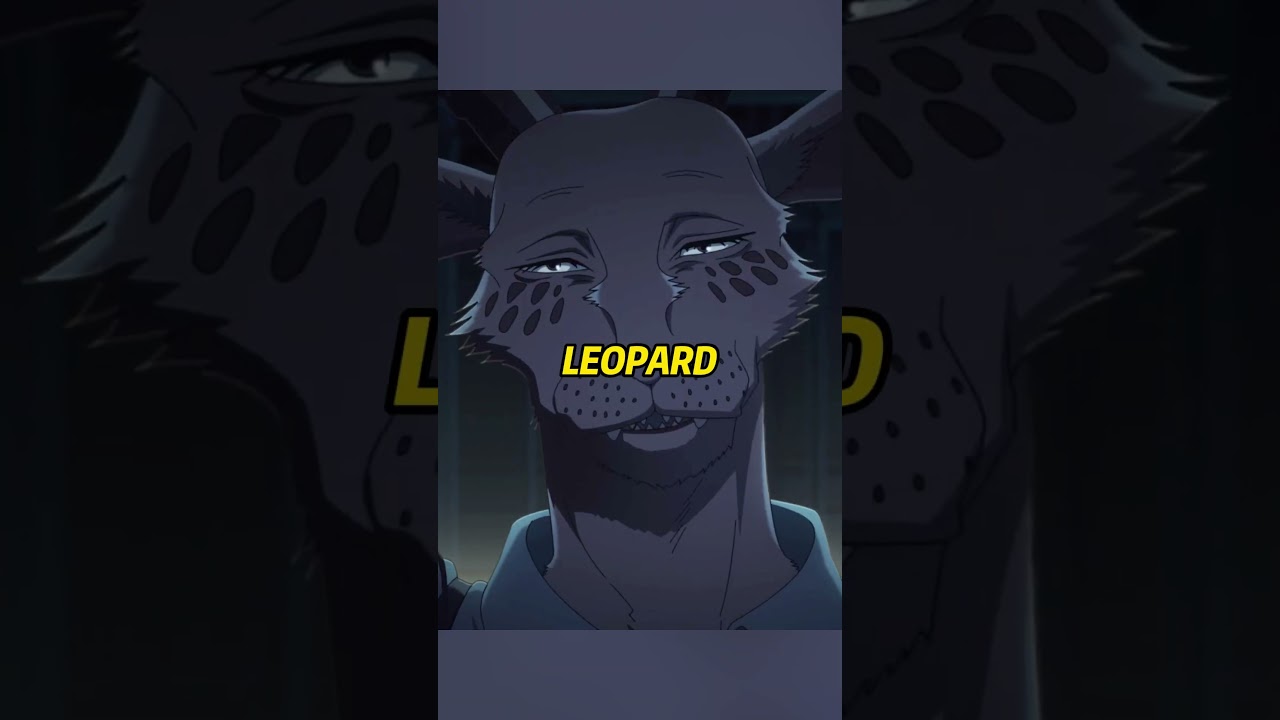 BEASTARS: Why did Melon kill that old sheep? #anime #cute#animals #animation #fun #funny  #beastars