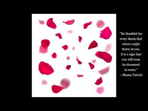 Shams Tabrizi (Rumi's teacher) - Selected Verses for Meditation - Sufi Mystics