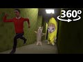 Happy Happy Happy Cat in 360° | VR / 4K