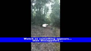 preview picture of video 'Floating leaf and white apparition - WTF????'
