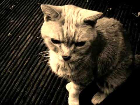 Dodson and Fogg - In A Strange Slumber