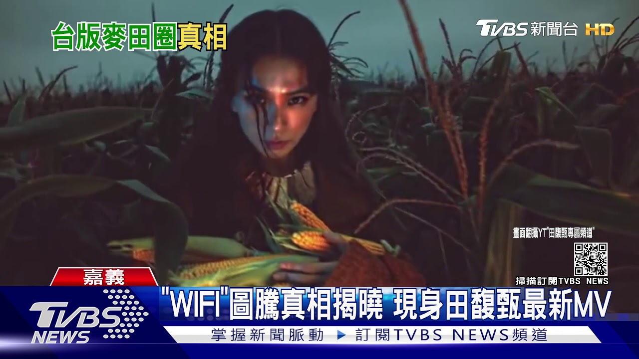 玉米田現「WIFI」圖騰！　民眾驚呼：台版「麥田圈」