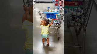 My Toddler Is Pushing the Shopping Cart