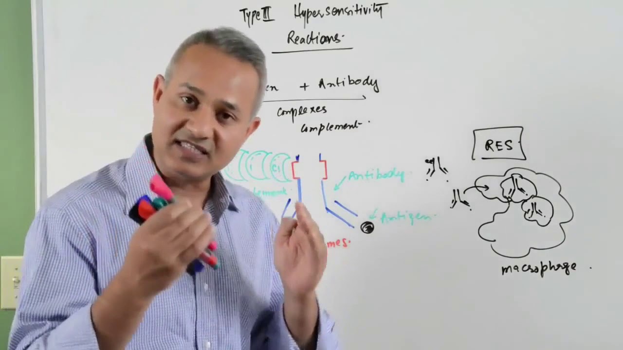 Mechanism of Type III Hypersensitivity Reaction - YouTube