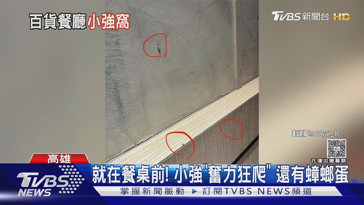 百貨餐廳牆上有小強、蟑螂蛋!店員認疏失:已找消毒公司