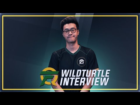 Wildturtle's thoughts on how FlyQuest are feeling and thoughts on playoffs