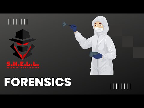 SHELL CTF 2022: FORENSICS (Alien Communication, Secret Document, Hidden File, Heaven, GO Deep!)