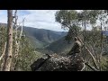 8 Day Sambar Backpack Hunt Part 1