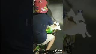 Download lagu Story wa || kucintai setulus hati takkan terganti - kangen band mp3