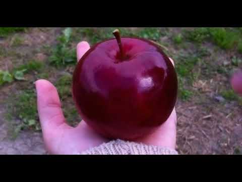 Subsonik vs Kiro - Hold On Faster