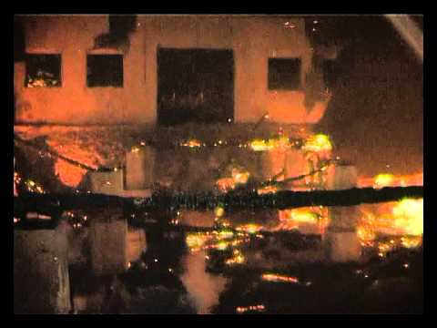 an fierbinte in gorj