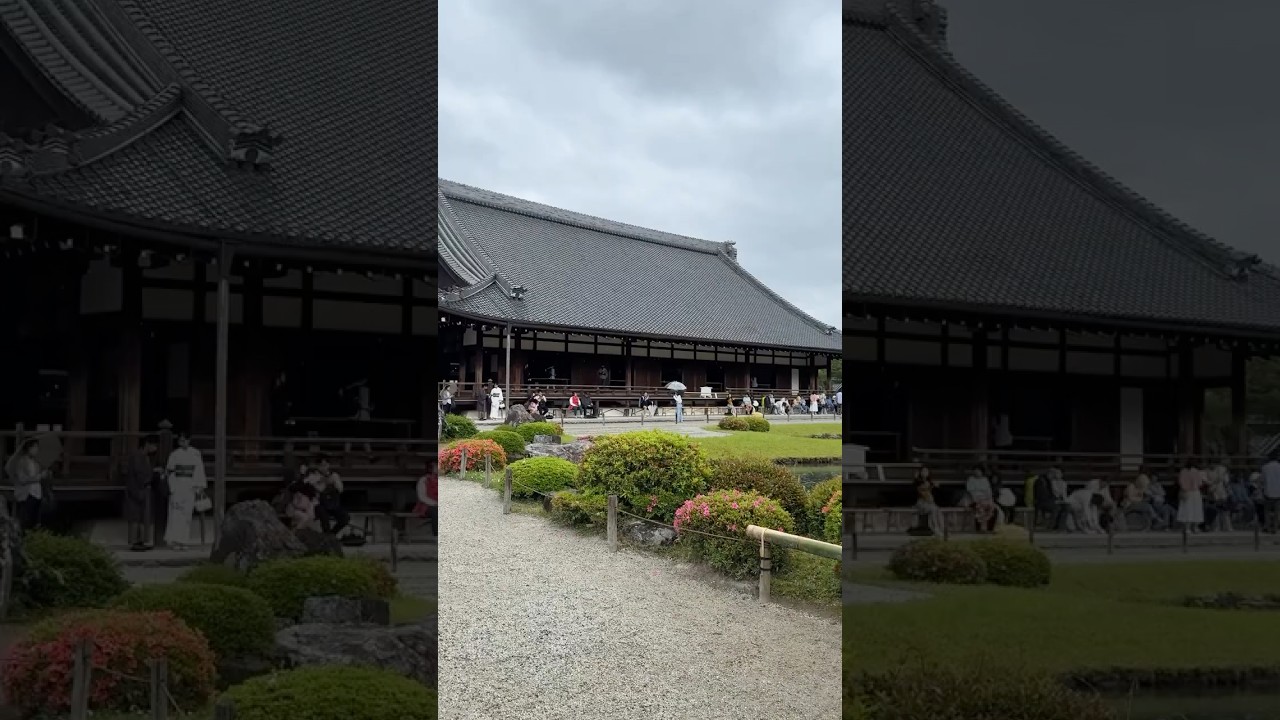 YouTube Short thumbnail