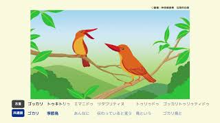 話者の語りで見る