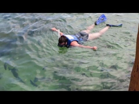 SNORKELING AT XEL-HA PARK IN CANCUN