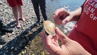 Indigenous Knowledge | Sharing: Video 7